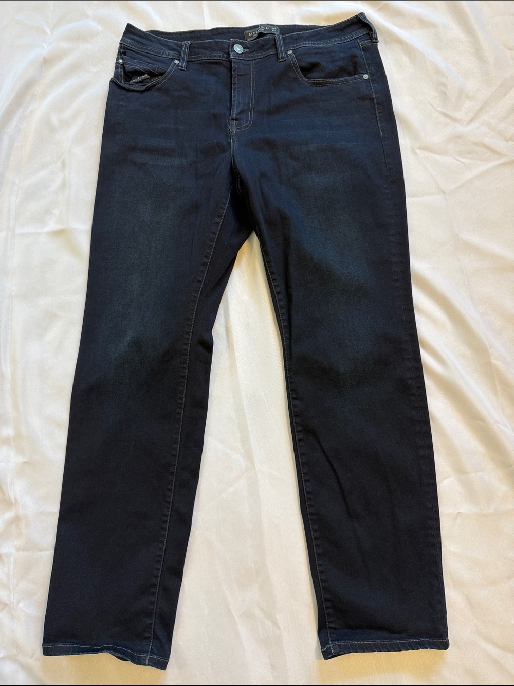 Liverpool Men's Straight Jeans in Black Wash